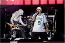 Limp Bizkit