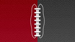 Atlanta Falcons icon