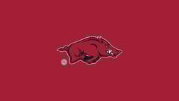 Arkansas Razorbacks icon