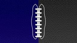 Baltimore Ravens icon