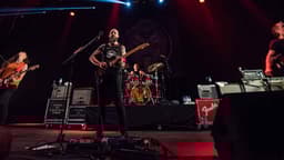 Baroness icon