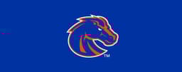 Boise State Broncos icon