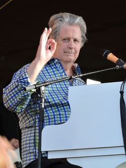 Brian Wilson icon