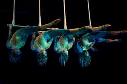 Cirque du Soleil icon