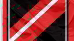 D.C. United icon