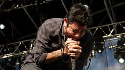 Deftones icon