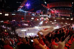 Detroit Red Wings icon