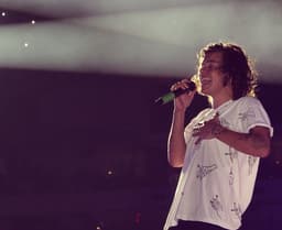 Harry Styles icon