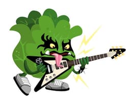 Lettuce icon