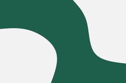 Michigan State Spartans icon