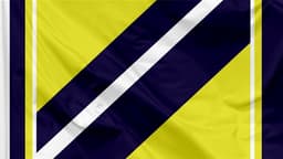 Nashville SC icon