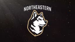Northeastern Huskies icon