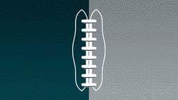 Philadelphia Eagles icon