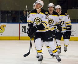 Providence Bruins icon
