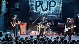 Pup icon