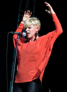 Robyn icon