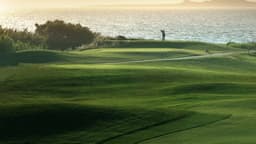 Ryder Cup icon