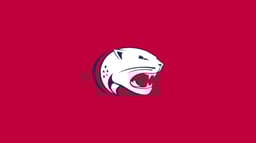 South Alabama Jaguars icon