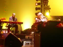 Steely Dan icon
