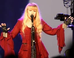 Stevie Nicks icon