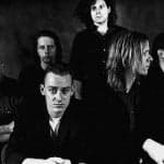 Swans icon