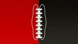 Tampa Bay Buccaneers icon