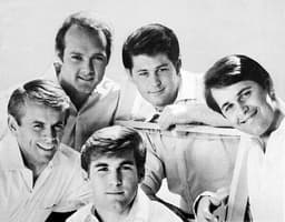 The Beach Boys icon