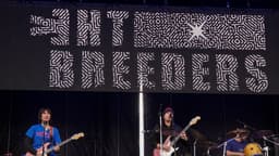 The Breeders icon