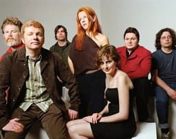 The New Pornographers icon