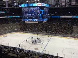 Toronto Maple Leafs icon