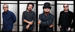 Toto icon