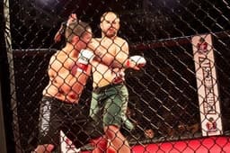 UFC Fight Night icon
