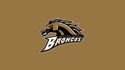 Western Michigan Broncos icon