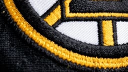 Boston Bruins Logo