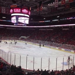 Carolina Hurricanes Logo
