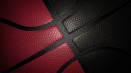 Chicago Bulls Logo