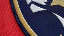 Florida Panthers Logo
