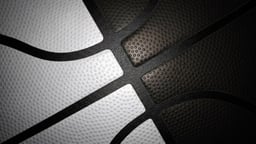 Brooklyn Nets Logo