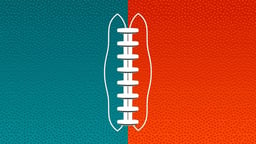 Miami Dolphins Logo
