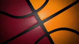 Miami Heat Logo