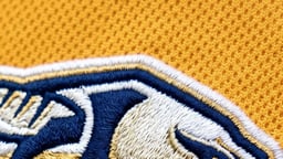 Nashville Predators Logo