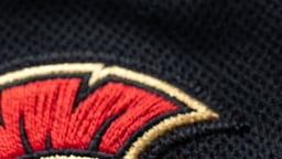 Ottawa Senators Logo