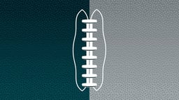 Philadelphia Eagles Logo