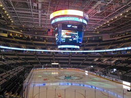 San Jose Sharks Logo