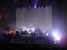 performer icon