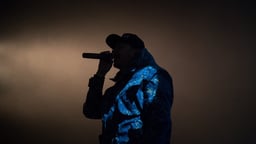 performer icon