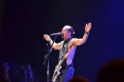 performer icon
