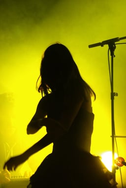 performer icon