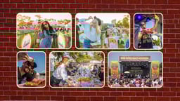 Dave Portnoy's One Bite Pizza Festival Logo