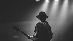 performer icon